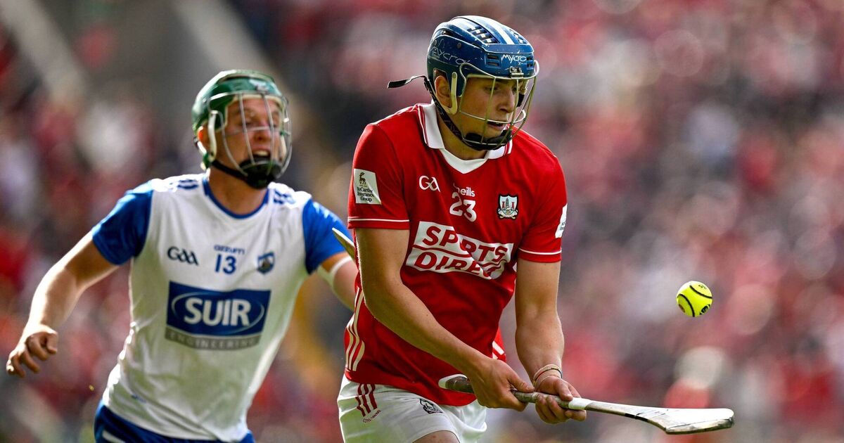 Anthony Daly: Walsh Park challenge will reveal more about Cork than win over Limerick