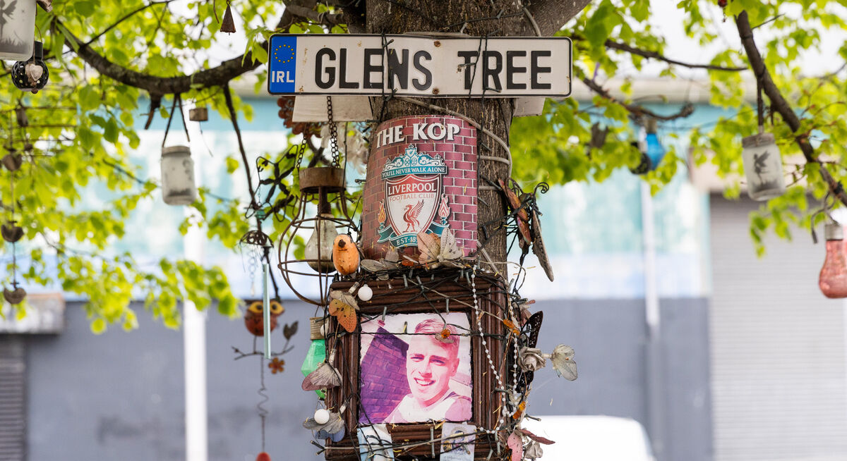 A tree dedicated to Glen at Rose's home in Ballybough, Dublin. Picture: Gareth Chaney A tree dedicated to Glen at Rose's home in Ballybough, Dublin. Picture: Gareth Chaney
