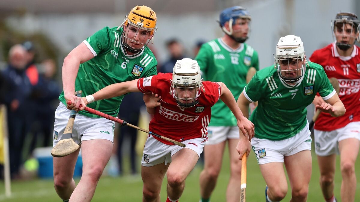 Limerick seal Munster MHC final berth with dominant win over Cork