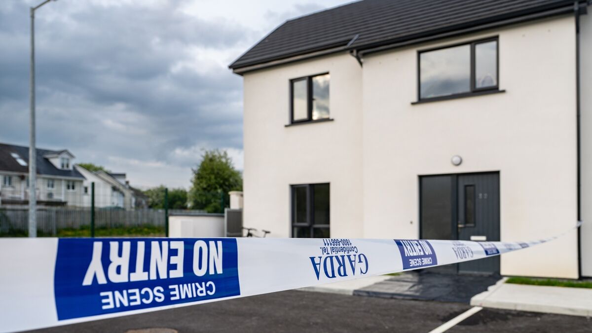 Mother and newborn baby found dead in Tipperary died of natural causes, autopsy finds