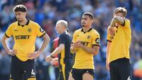 Brighton and Hove Albion v Wolverhampton Wanderers - Premier League - American Express Stadium