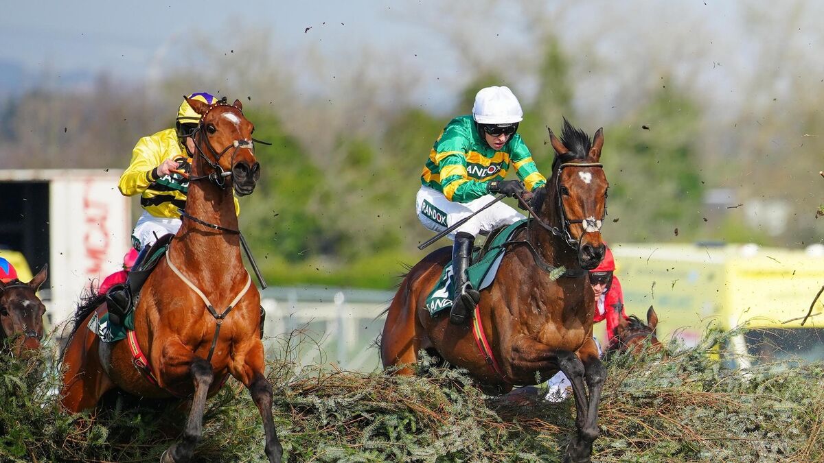 Opportunity knocks for Gentleman De Mee at Killarney