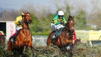 Opportunity knocks for Gentleman De Mee at Killarney