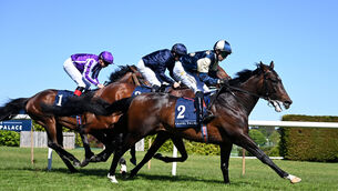 <p>VICTORY SNATCHED: James J Braddock gets up to deny Pierre Bonnard in the Group 3 Derby Trial Stakes at Leopardstown. Picture: Healy Racing</p> <p>VICTORY SNATCHED: James J Braddock gets up to deny Pierre Bonnard in the Group 3 Derby Trial Stakes at Leopardstown. Picture: Healy Racing</p>