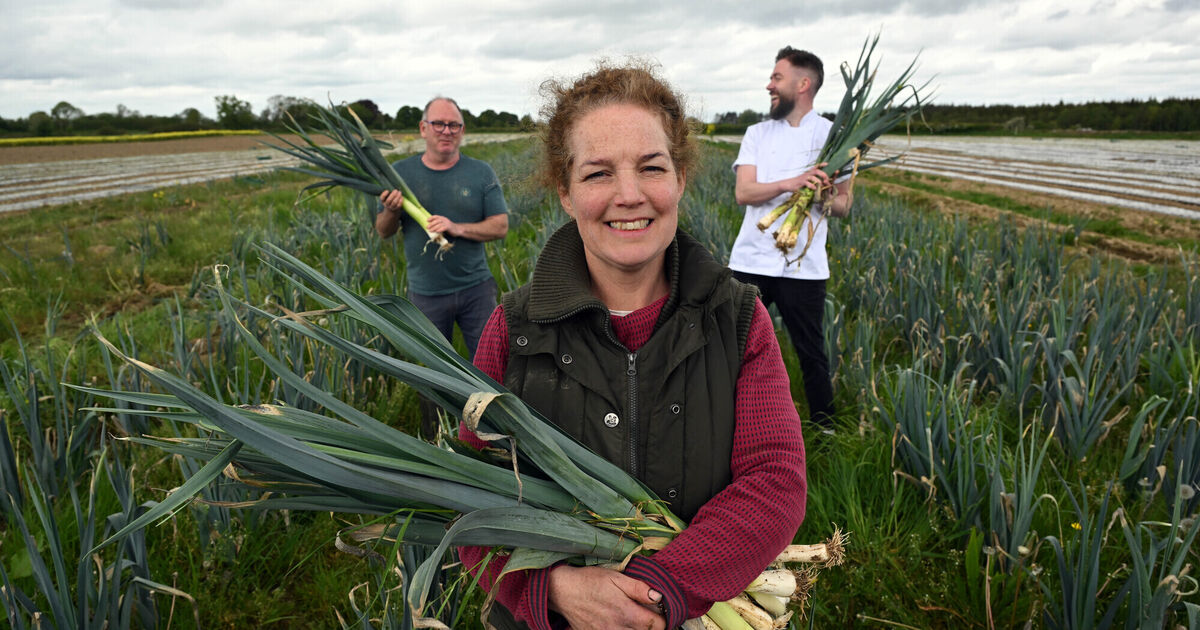 'It might not look the prettiest': Meet the people rescuing ...