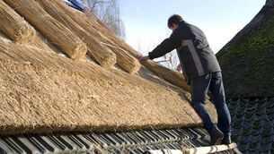 <p>There has been a drop from 55,000 thatched properties to less than 2,300 due to a lack of accessible or affordable insurance. File picture</p> <p>There has been a drop from 55,000 thatched properties to less than 2,300 due to a lack of accessible or affordable insurance. File picture</p>