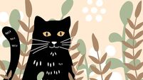 Cute Black Cat In A Flower Garden