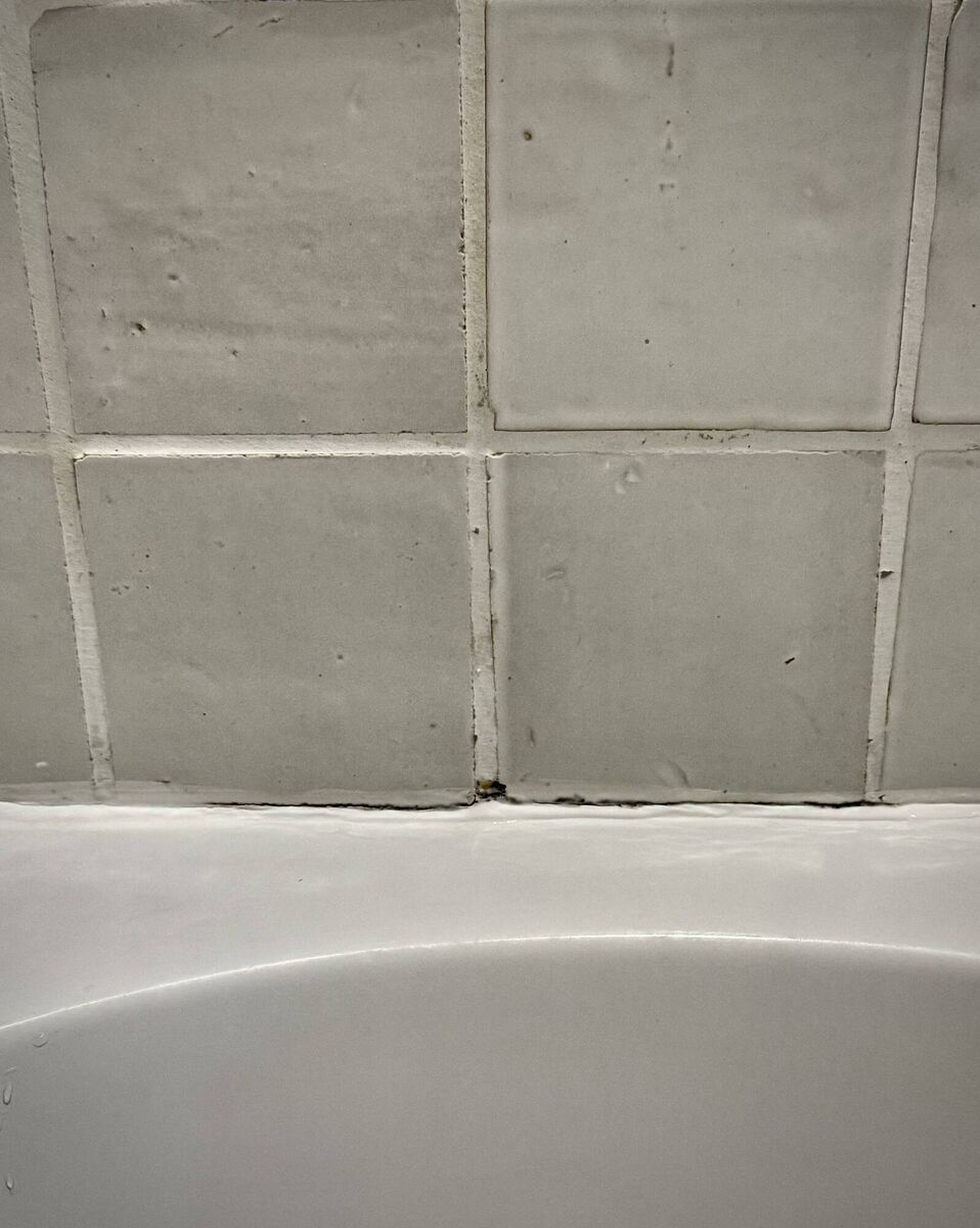 The offending mould. 