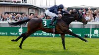 Saturday's horse racing tips Saturday's horse racing tips