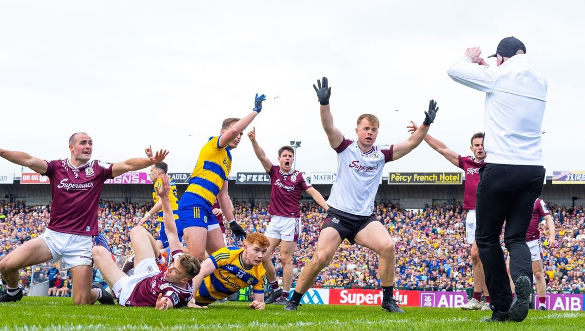 Players appeal for a wide. Pic: ©INPHO/James Crombie.