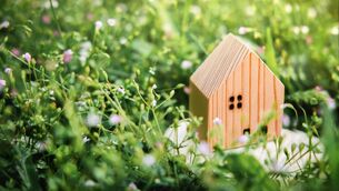 <p>An unfettered run on garden homes might seem promising, but it is highly likely in many cases to negatively impact vulnerable individuals and families within a very short time, says Kya deLongchamps. File picture</p>