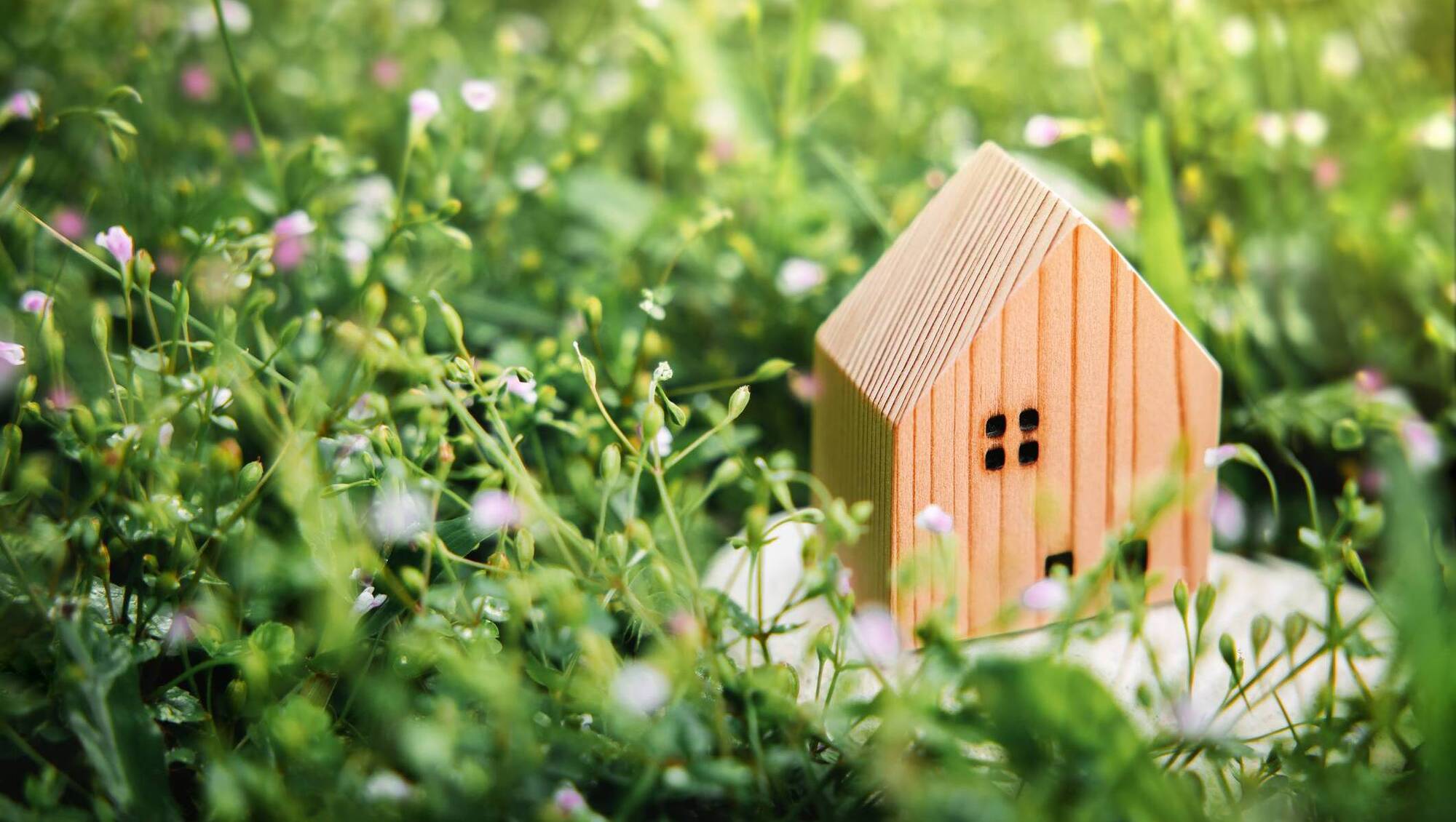 'Garden homes might seem promising, but could negatively impact vulnerable individuals and families'