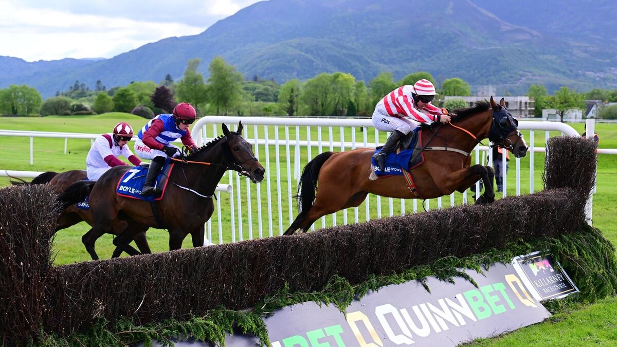 Senecia proves Webster Cup win was no fluke with victory at Killarney