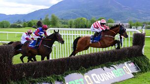 <p>Senecia and Philip Enright (white &amp; red) win the Grade 3 An Riocht Steeplechase from Three Card Brag (blue &amp; white) at Killarney. Pic: HEALY RACING</p>