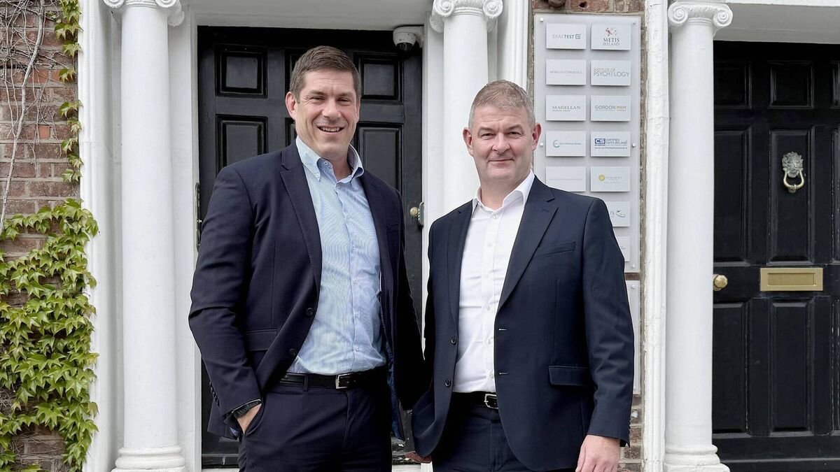 Limerick's Metis acquired by AON group firm NFP