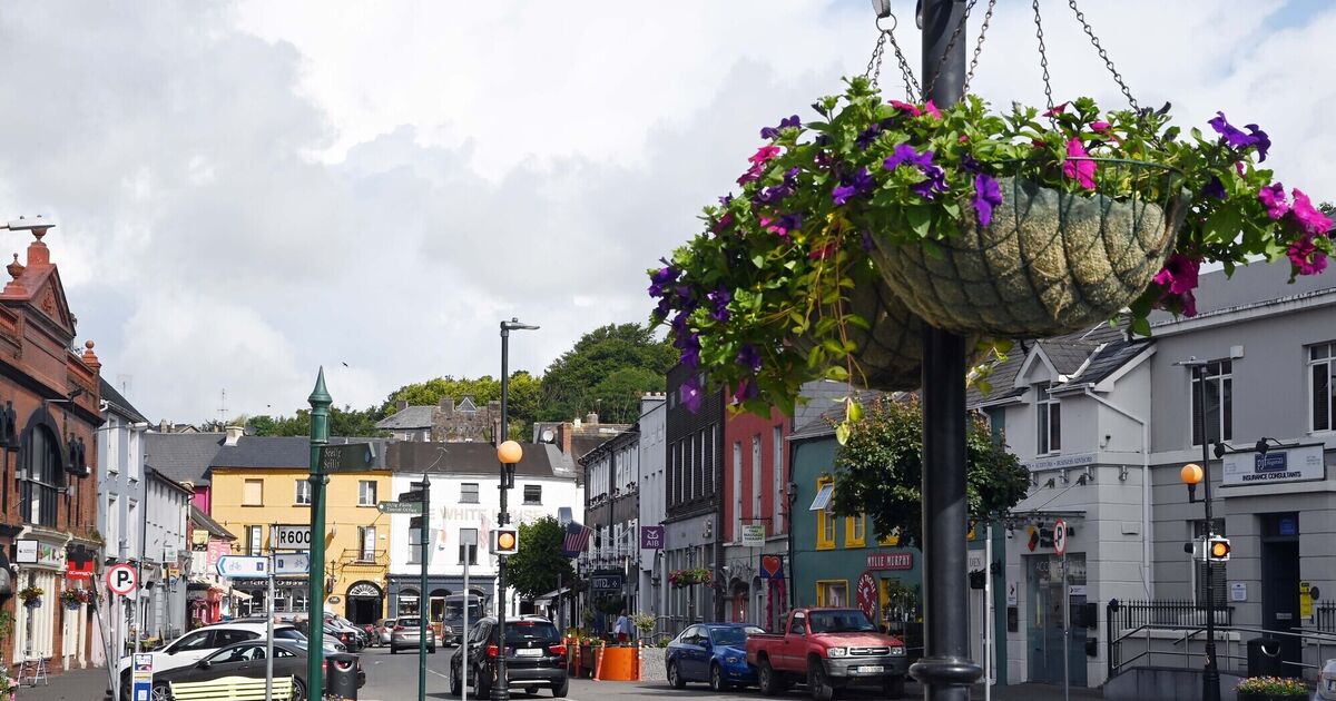 Drunk Cork woman who was 'snarling' at tourists carried out 'rabid attack' on garda
