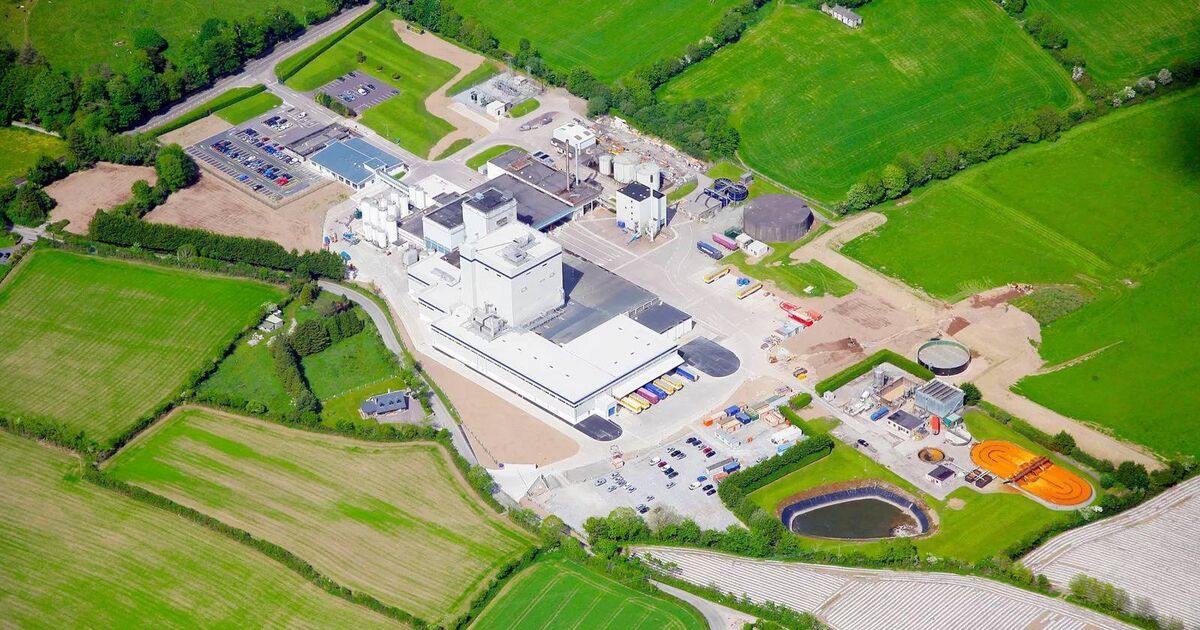 Danone erweitert Produktionsstätte in Macroom und schafft 230 neue ...