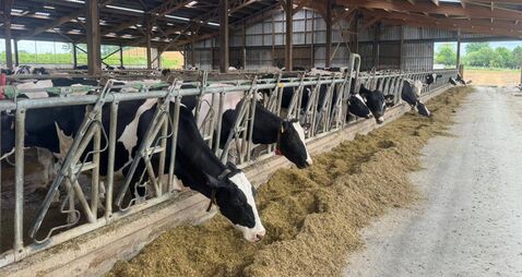 Brian Reidy: French milk production comes in many shapes and sizes