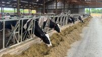 Fixed-price contracts: What is plan B for dairy?