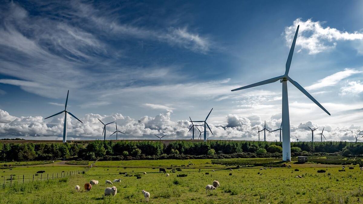 Renewable energy wasted last year highest since records began, new report shows