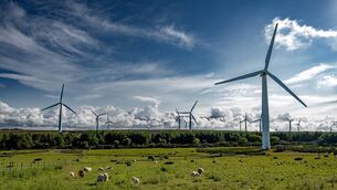 <p>Climate Change Advisory Council said 2025 saw the failure of multiple targets of the country’s climate action plan, including onshore wind, solar, dispatch-down and renewable electricity share of demand.</p>