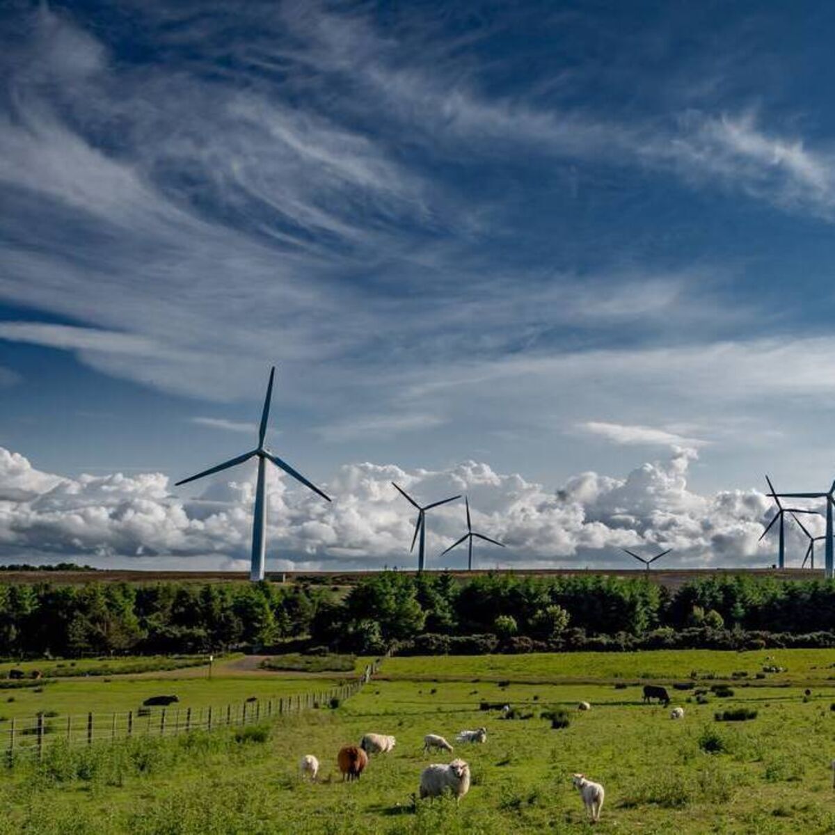irishexaminer.com - Sean Murray - Renewable energy wasted last year highest since records began, new report shows