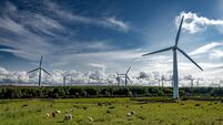 Rural Farmland Landscape With Sheep And Rotating Wind Turbines For Renewable Energy Production In Scotland, UK