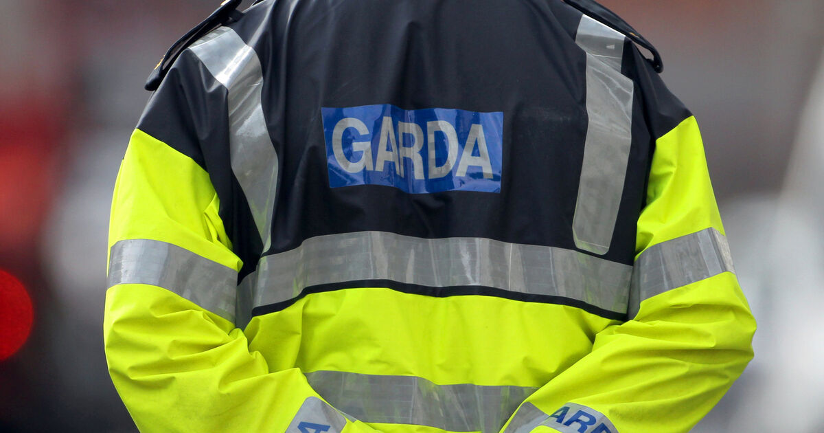 Garda Sergeant Granted Judicial Review Over Bullying Claims