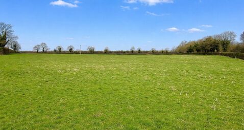 8a Kildare parcel achieves €25k/acre at auction