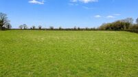 8a Kildare parcel achieves €25k/acre at auction
