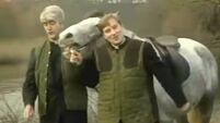 Tom Dunne: My Lovely Horse and the relief Father Ted will bring to Eurovision night