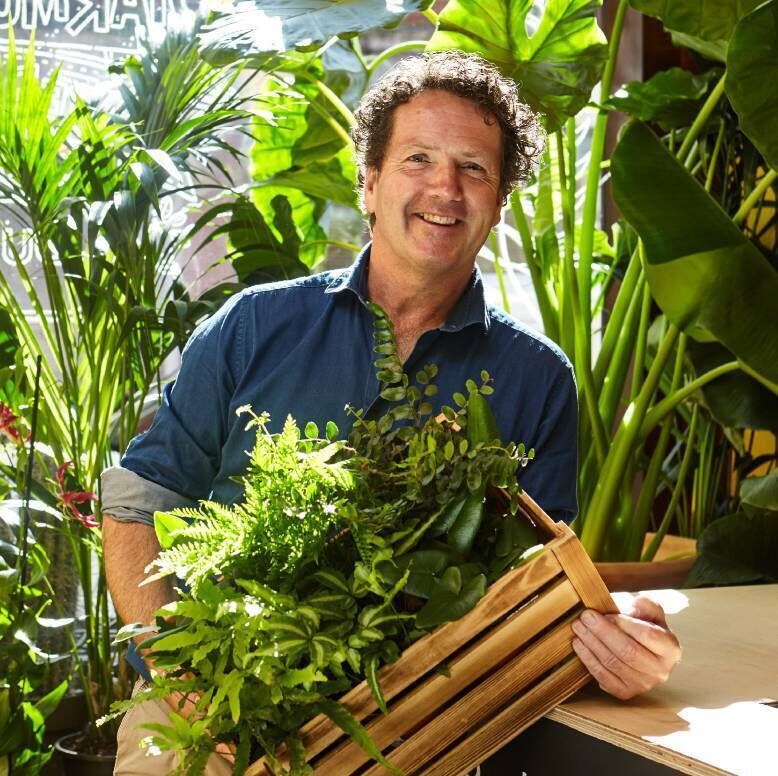 Diarmuid Gavin: “In a lawn environment, individual grasses haven’t been allowed to flourish and flower, and therefore the lawn isn’t producing pollen or anything beneficial.