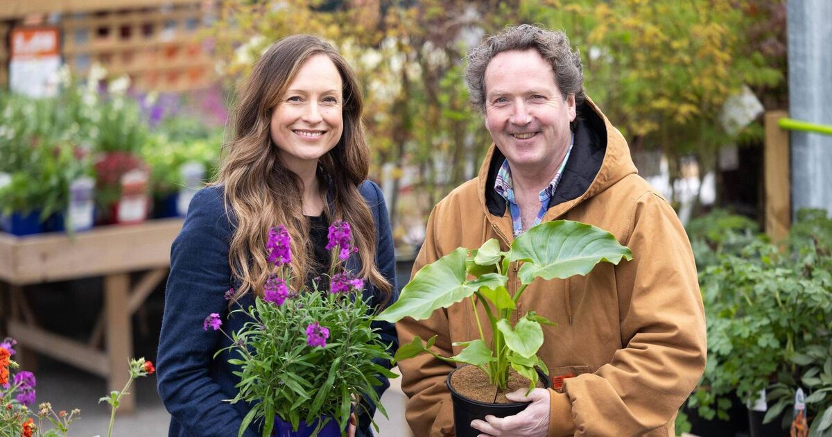 How to make your garden truly green: 'We should be gardening with nature, not against it'