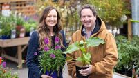 How to make your garden truly green: 'We should be gardening with nature, not against it'