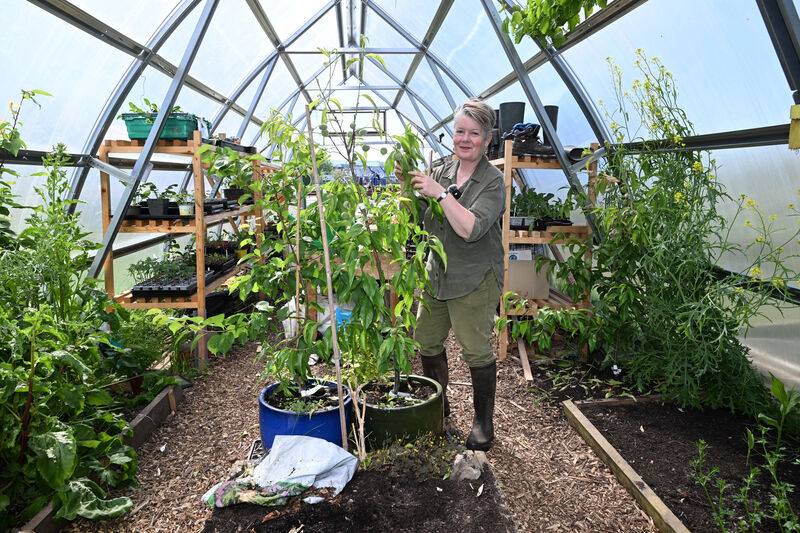  Maria Young checks on the fruit growing in the poly-tunnel at Togher Community Garden, Clashduv Road, Togher, Cork. Picture: Larry Cummins