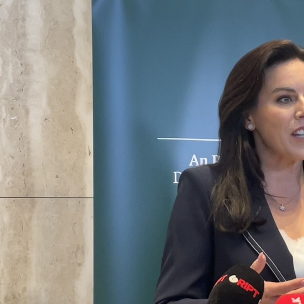 Women will still go to UK for abortion even if law is changed, health minister claims