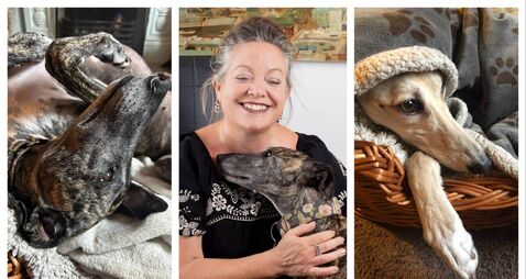 The agonies and ecstasies of adopting a rescue dog — or two