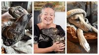 The agonies and ecstasies of adopting a rescue dog — or two