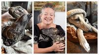 The agonies and ecstasies of adopting a rescue dog — or two