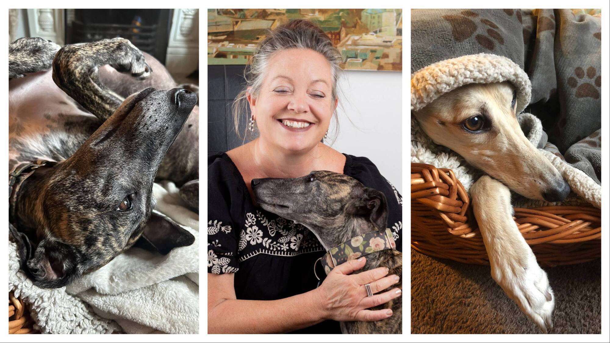 The agonies and ecstasies of adopting a rescue dog — or two