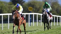 Colin Tizzard: Cue Card a ‘horse of a lifetime’