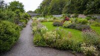 Flower garden