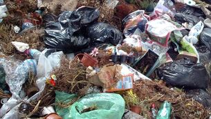 <p> Illegally-dumped waste. Stock picture: Larry Cummins</p>