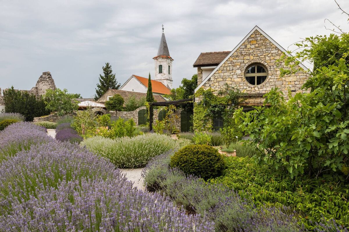 Visit the Hungarian town of Tihany for the Lavender Festival 