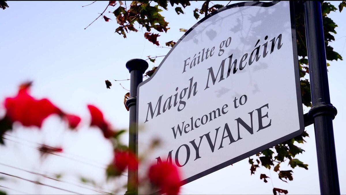 Moyvane Development Association has invested in new lighting and a local biodiversity initiative with the support of Statkraft.