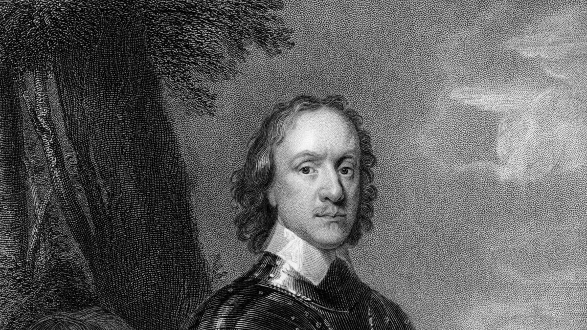 Cork City Council to consider tiny statue honouring mosquito linked to Oliver Cromwell’s death