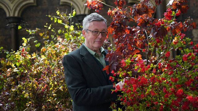 <p>Shane Connolly, is a renowned floral designer from Belfast, best known for his work which features in royal events</p>