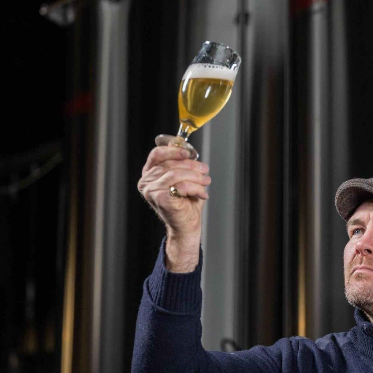 irishexaminer.com - Manon Gilbart  - Beer, bulbs, and biography: Munster rugby legend Peter O'Mahony on his latest ventures