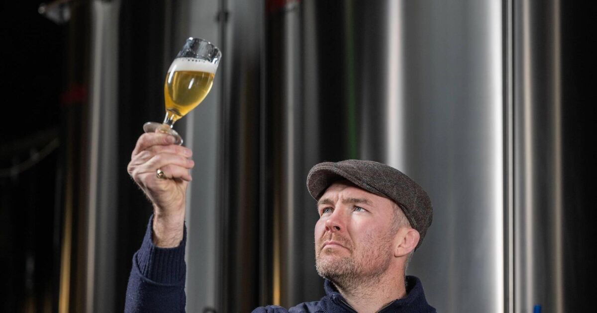 Beer, bulbs, and biography: Munster rugby legend Peter O'Mahony on his latest ventures