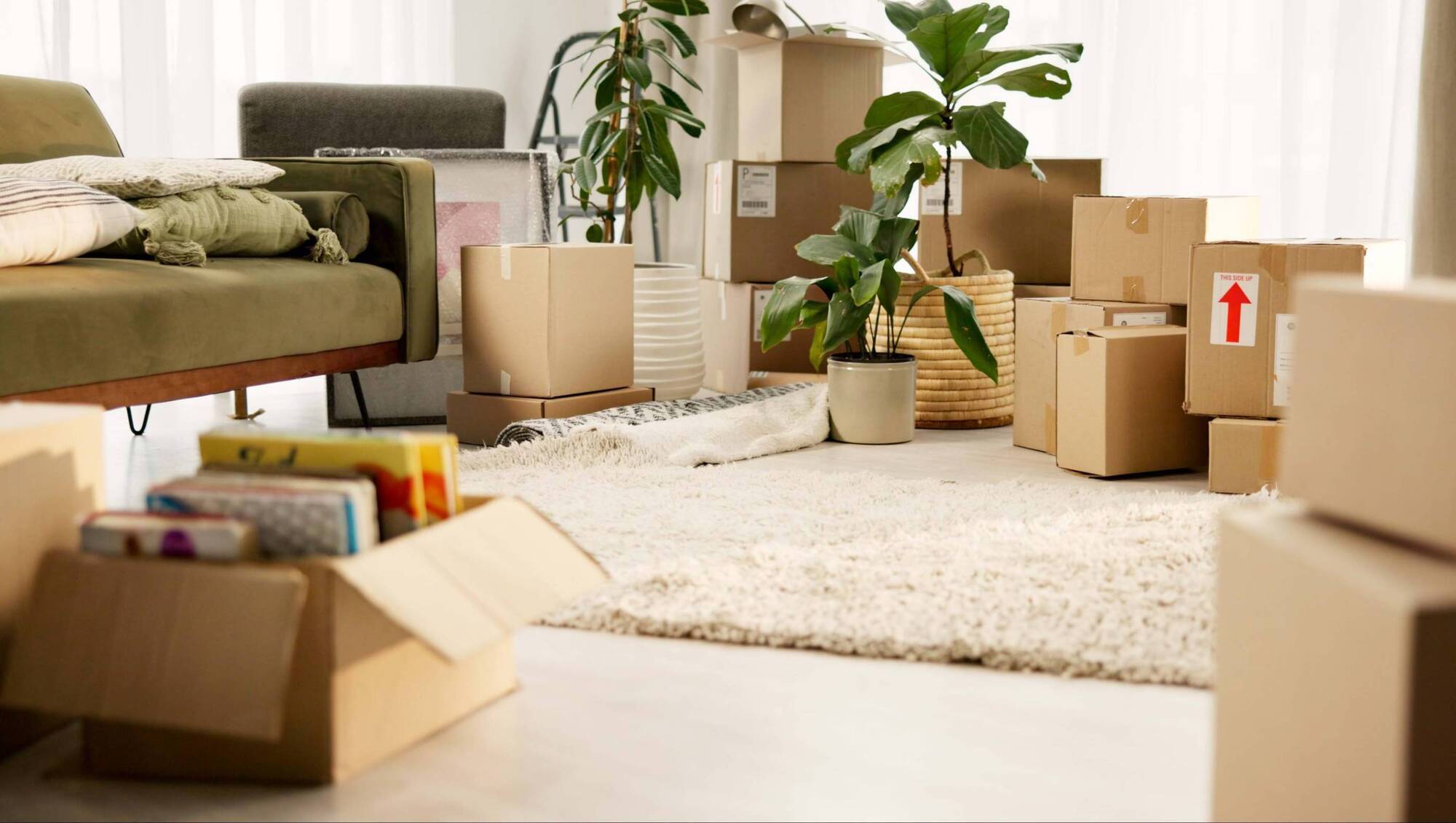 Diary of a Gen Z Student: I love my parents but coming home after the college semester has been a rude awakening